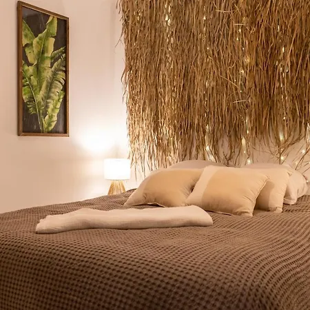 L'amazonie Gite Spa Appartement